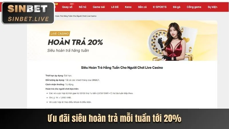 Chương trình hoàn trả hàng ngày 6ff